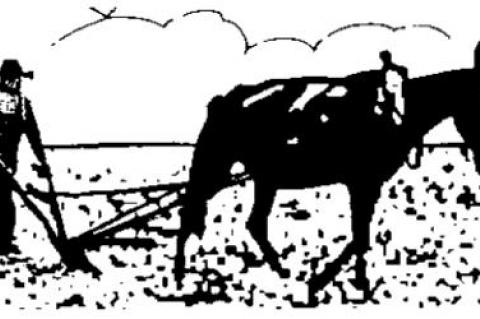 This newspaper is dedicated ... to you