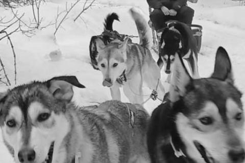 matter where you go, there you are