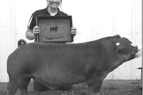 Article Image Alt Text