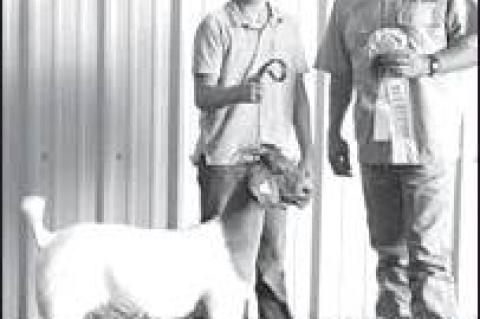 Article Image Alt Text