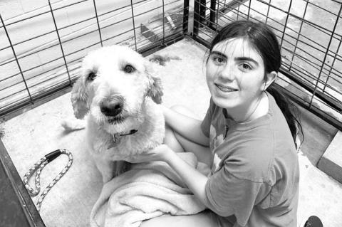 CASHION FFA’S Mikaela Yandell works with a dog during a Wash and Walk grooming session at her chapter’s agriculture barn. [Photo provided by Molly Mayes/Cashion FFA Reporter]
