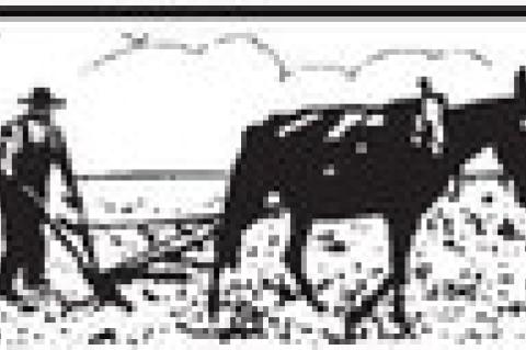 No, I didn’t watch debate debacle