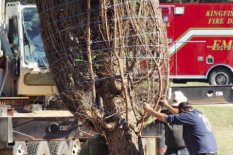 ‘Christmas IS a Big Deal...’