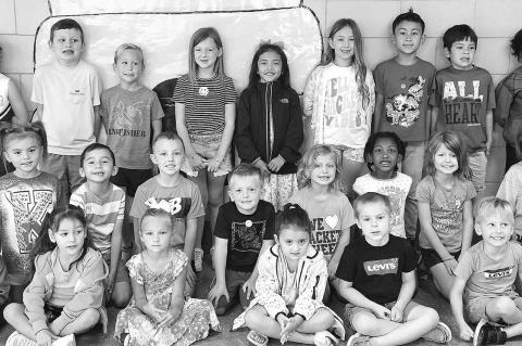 Article Image Alt Text