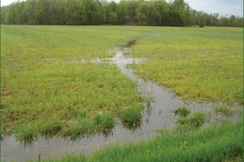 Ag orgs, others praise water rule
