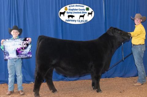 COUNTY SPRING STOCK SHOW RESULTS