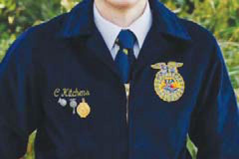 Caden Kitchens Kingfisher