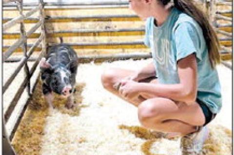 Kingfisher County’s annual livestock show starts Sunday