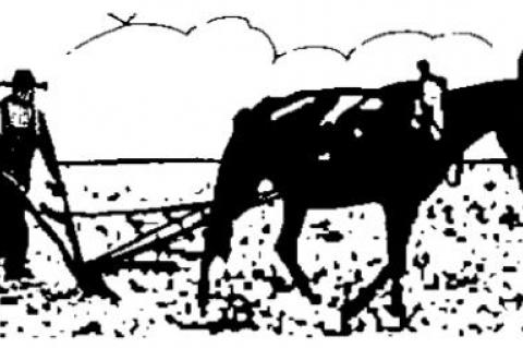 View From Behind The Plow