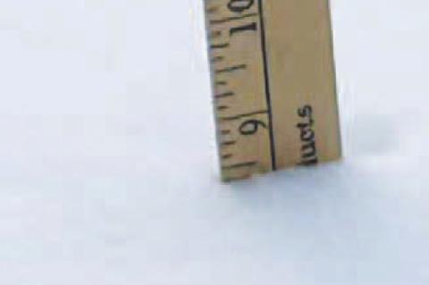 Snow Storm of January 2026