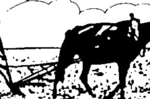 Our Increasingly Unrecognizable Civilization, Part 2 (By Mark Steyn)