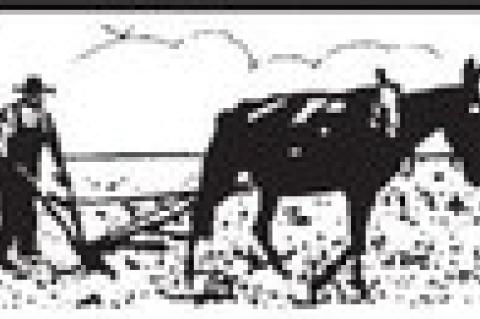 VIEW from behind the plow