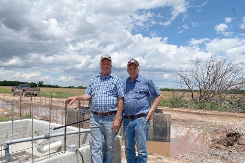 Saltwater Purge: 2 Years In