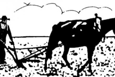 Spite runs deep in the innards of left-wingers