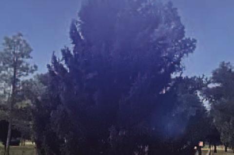 ‘Christmas IS a Big Deal...’