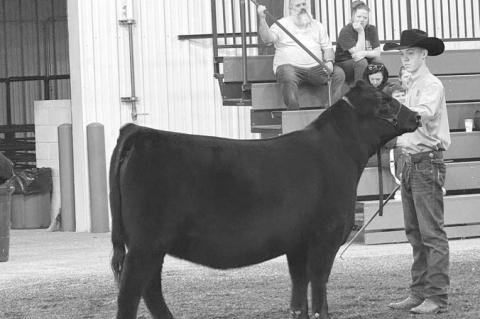 Okarche: Celebrating FFA Week and our successes