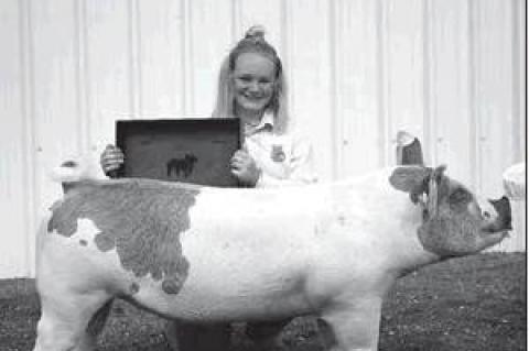 Article Image Alt Text