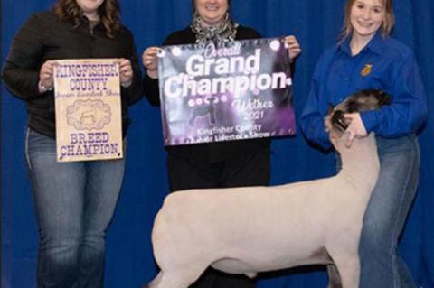 COUNTY SPRING STOCK SHOW RESULTS