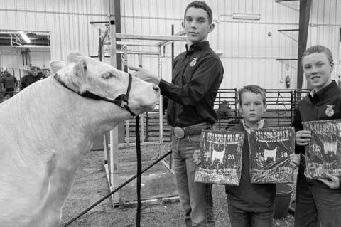 County Spring Livestock Show results listed