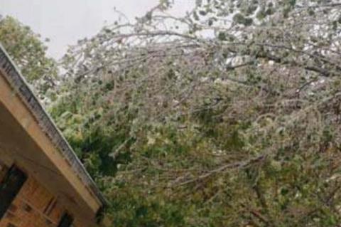 Yes, It’s Still 2020