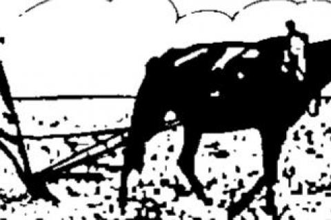 For years, people have taken care of their families