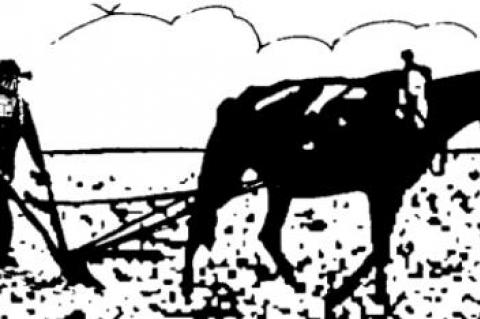 Musk takeover of Twitter creates leftist panic