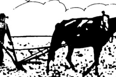 Dust Bowl mostly government’s fault