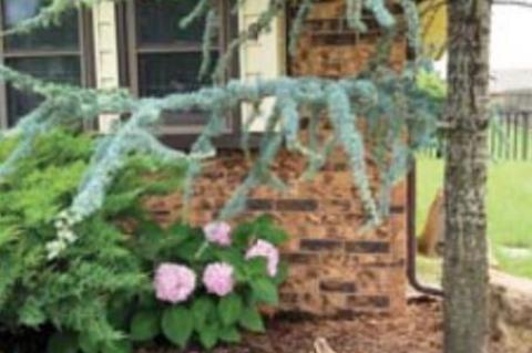 Red, White and Blue-tiful