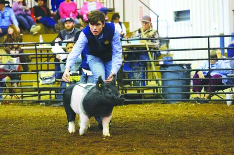 Rough start, but grand fi nish