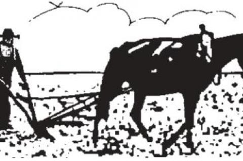 What’s at stake? Everything