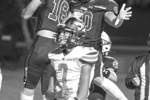 Article Image Alt Text