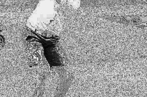 Orozco is top 25 at state golf