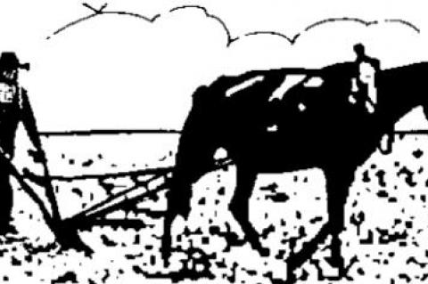 2022 conservative sweep not a ‘done deal’