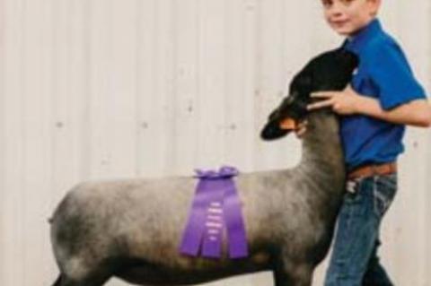kingfisher County Fair Livestock show winners
