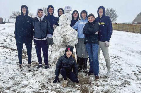 Do you want to build a....