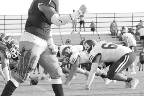 Article Image Alt Text