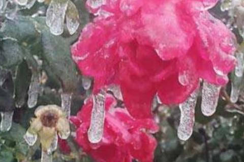 Yes, It’s Still 2020