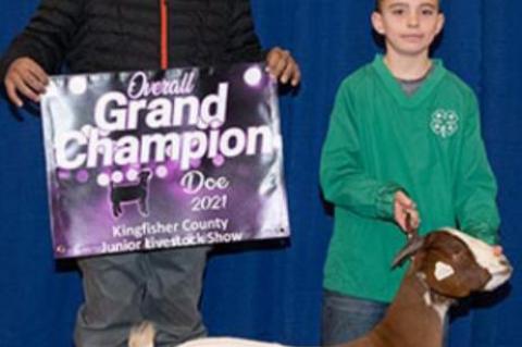 COUNTY SPRING STOCK SHOW RESULTS