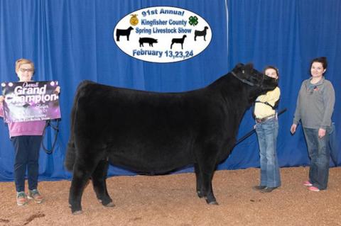 COUNTY SPRING STOCK SHOW RESULTS