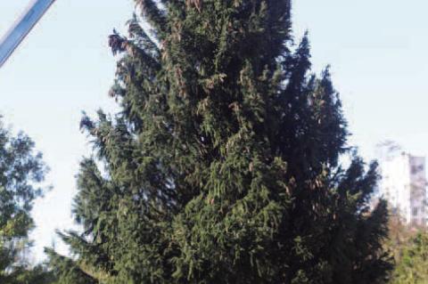 ‘Christmas IS a Big Deal...’