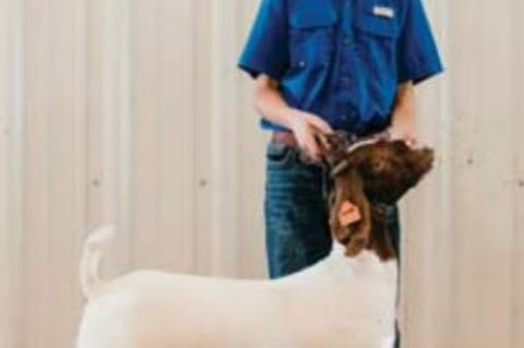 kingfisher County Fair Livestock show winners