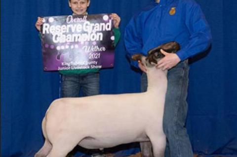 COUNTY SPRING STOCK SHOW RESULTS