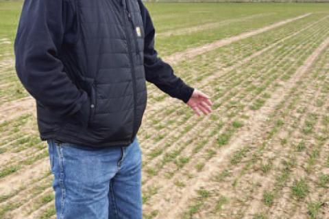 KINGFISHER COUNTY Extension Director Bryan Kennedy shows off the one-acre plot of land on which he’s planted 25 varieties of wheat. [KT&amp;FP Staff Photo]