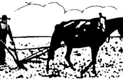 VIEW from behind the plow