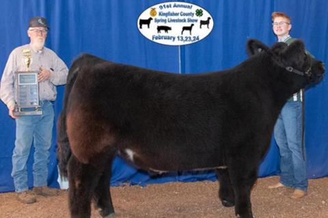 COUNTY SPRING STOCK SHOW RESULTS