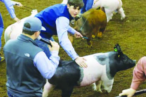 Rough start, but grand fi nish