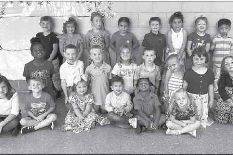 Good BEE-having at Gilmour