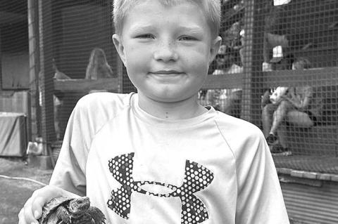 Lions Club turtle race winners announced