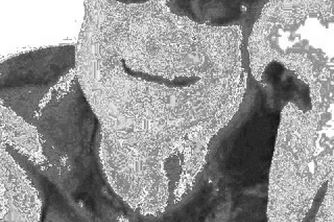 Carrol Gene ‘Shorty’ Jones