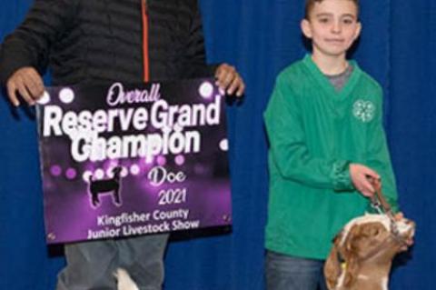 COUNTY SPRING STOCK SHOW RESULTS